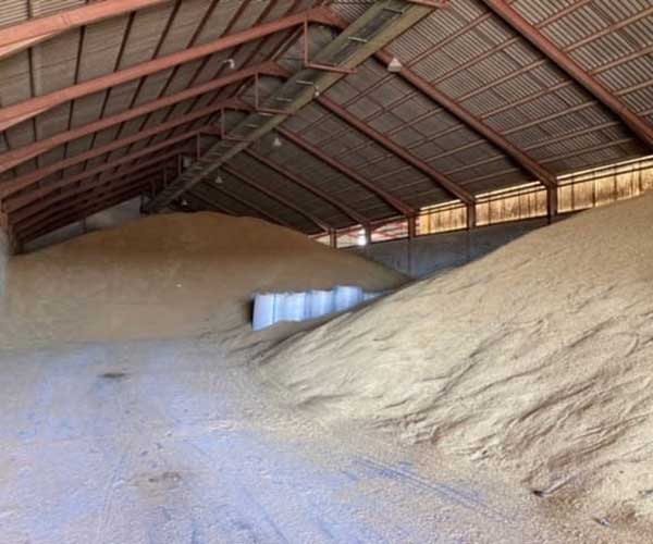 En nuestra cooperativa en Aldeaseca, Ávila, encontrarás todo en abonos, cereales, piensos y semillas. 