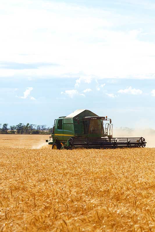 Mejora tu cosecha con el abono adecuado. En Coplam Ávila ayudamos a los agricultores con el fertilizante que necesitan